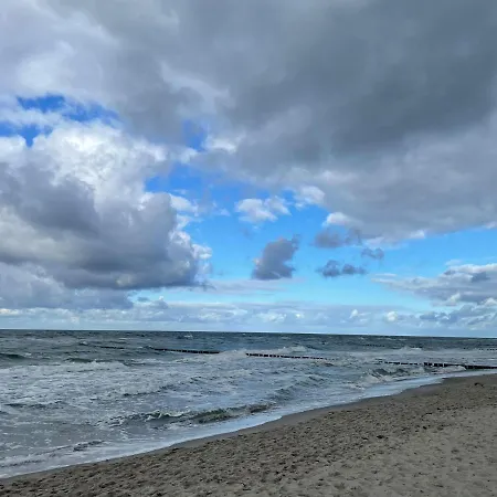 Daire Am Darsswald Eg Born